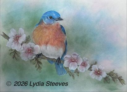 Bluebird Beauty CP e-Packet and Prep Video